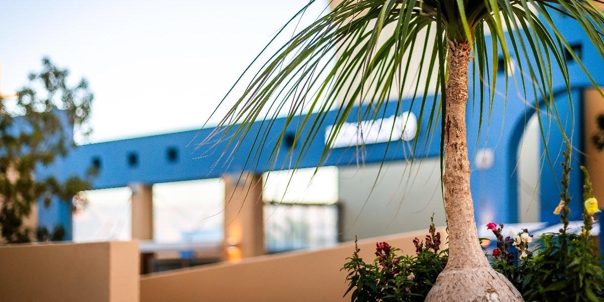 Almogim Suites Eilat Hotel (Adults Only) Екстериор снимка